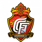 庆南FC队标
